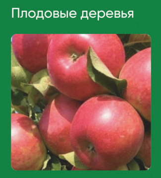 [Анна Акинина] [Школа нетипичного фермера] Плодовы_0.png